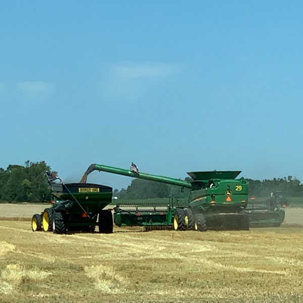 Wheat harvest 2020 at Campbell Farms ND location