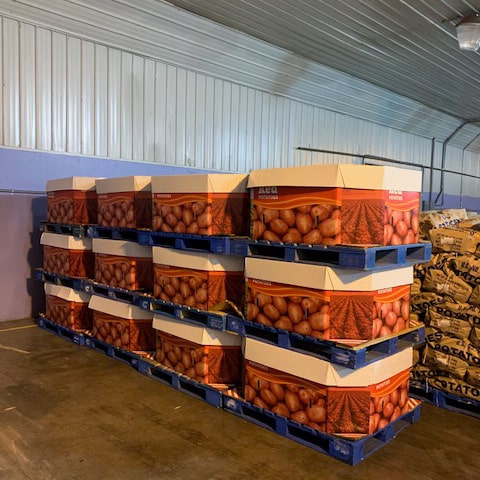 Careful packing and storage of potatoes at Campbell Farms. Pallets ready for shipping